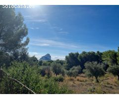 TERRENO RUSTICO EN URBANIZACION GARDUIX DE 17.000 METROS CON VISTAS AL MAR Y PEÑON.
