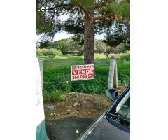 PARCELA VENTA TENTEGORRA PARA DOS VIVIENDAS