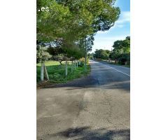 PARCELA VENTA TENTEGORRA PARA DOS VIVIENDAS