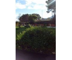 PARCELA VENTA TENTEGORRA PARA DOS VIVIENDAS