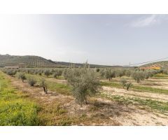 PARCELA DE 2.000 m2 CON NAVE DE 200 m2.