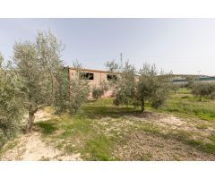 PARCELA DE 2.000 m2 CON NAVE DE 200 m2.