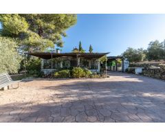 Casa rural con 300 olivos de riego y almendras