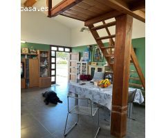 CHALET Y CASA CONTAINER MAS TERRENO OLIVOS EN LA ROMANA