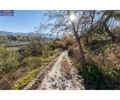 MAGNÍFICA FINCA JUNTO URBANIZACIÓN MOLINO ALTO