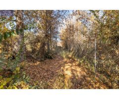 MAGNÍFICA FINCA JUNTO URBANIZACIÓN MOLINO ALTO