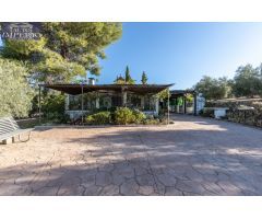 Casa rural con 300 olivos de riego y almendras