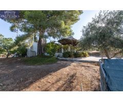 Casa rural con 300 olivos de riego y almendras