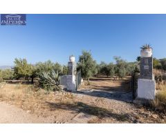 Casa rural con 300 olivos de riego y almendras