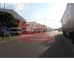 Se vende nave industrial, Onil