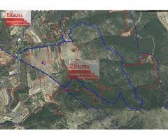 PORTELL DE CATÍ. 88 HA. DE SUELO NO URBANIZABLE EN CASTALLA.