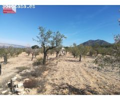 16.000m2 de terreno, luz y agua, PRECIO NEGOCIABLE