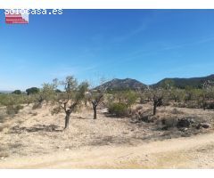 16.000m2 de terreno, luz y agua, PRECIO NEGOCIABLE