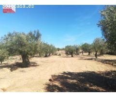 16.000m2 de terreno, luz y agua, PRECIO NEGOCIABLE