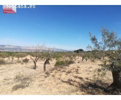 16.000m2 de terreno, luz y agua, PRECIO NEGOCIABLE
