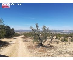 16.000m2 de terreno, luz y agua, PRECIO NEGOCIABLE