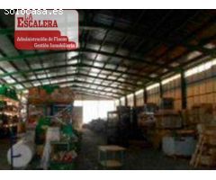 Magnifica nave industrial de 4000m2