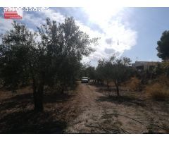 Parcela 4500m2, 39m2 contruido, a pocos metros de Ibi