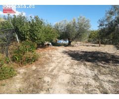Parcela 4500m2, 39m2 contruido, a pocos metros de Ibi