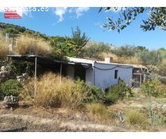 Parcela 4500m2, 39m2 contruido, a pocos metros de Ibi