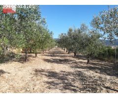 Parcela 4500m2, 39m2 contruido, a pocos metros de Ibi