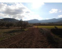 FINCA EN VENTA