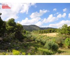 16000M2, POSIBILIDAD DE CONSTRUIR
