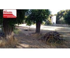 SUELO URBANO INDUSTRIAL - COMERCIAL EN CASTALLA