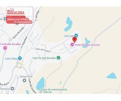 Vende magnifica suite, hotel Bonalba ! Oportunidad!