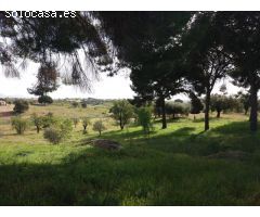 CHALET CON PARCELA - GARROVILLAS, CÁCERES -
