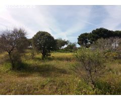 CHALET CON PARCELA - GARROVILLAS, CÁCERES -