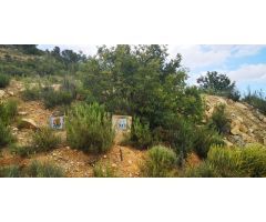 Se vende parcela en Les Mallaes
