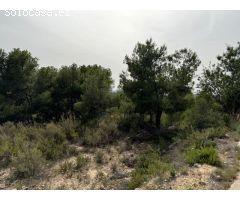 Parcela en Venta en Pedralba, Valencia