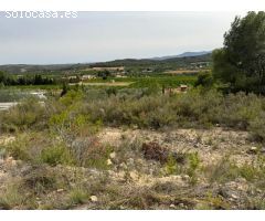 Parcela en Venta en Pedralba, Valencia