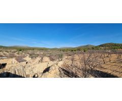 Chalet en venta Lliria