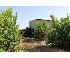 Te ofrecemos este terreno de 7500 metros cuadrados con casa-almacén en zona privada en San Bartolomé