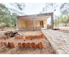 CAMPO EN LA OFRA. ASPE