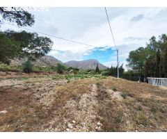 CAMPO EN LA OFRA. ASPE