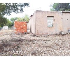 CAMPO EN LA OFRA. ASPE