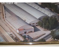 Nave industrial en Alquiler en Casas Abiar, Alicante