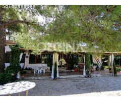 ¡ESPECTACULAR FINCA EN SANTAMARÍA!
