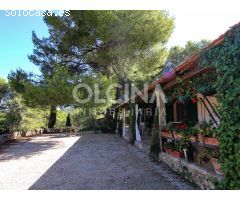 ¡ESPECTACULAR FINCA EN SANTAMARÍA!