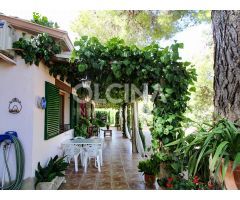¡ESPECTACULAR FINCA EN SANTAMARÍA!