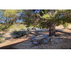 Maravillosa finca en Els Plans