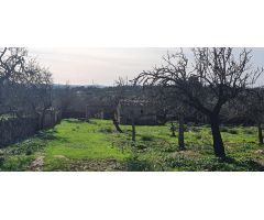 Parcela Urbanizable Sta Margalida con Vistas despejadas