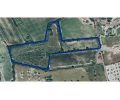 Encantador Terreno Urbanizable entre Lloret de Vista Alegre y Sineu