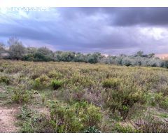 Encantador Terreno Urbanizable entre Lloret de Vista Alegre y Sineu