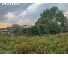 Encantador Terreno Urbanizable entre Lloret de Vista Alegre y Sineu