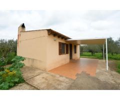 LA CASA DE LOS OLIVOS EN STA EUGENIA