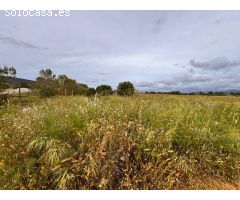 Solar en Venta en Santa Eugenia, Islas Baleares